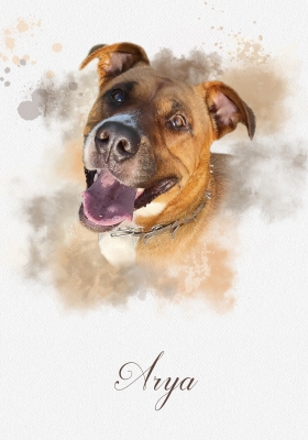 Arya 1
