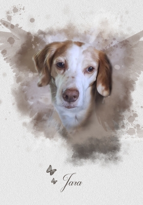 JARA