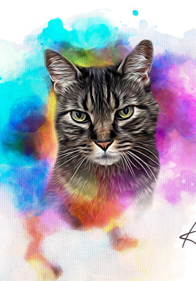 Ari