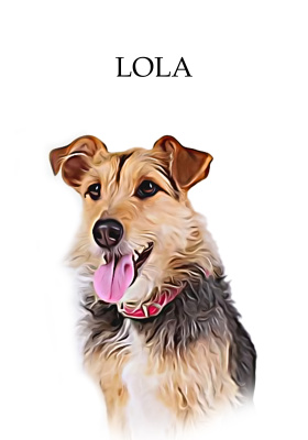 LOLA 2