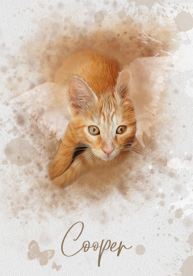 cooper 2